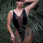 Welcome to the jungle