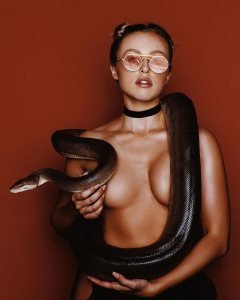 I like big snakes .
.
   ...