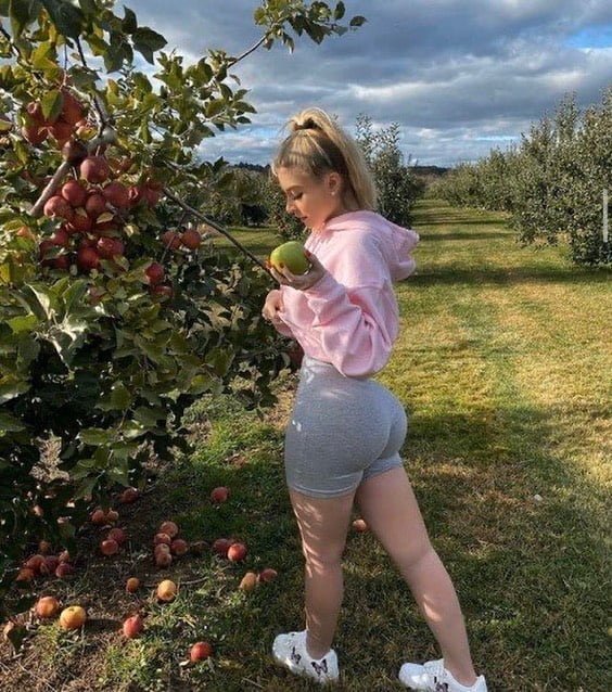 Autumn in New England