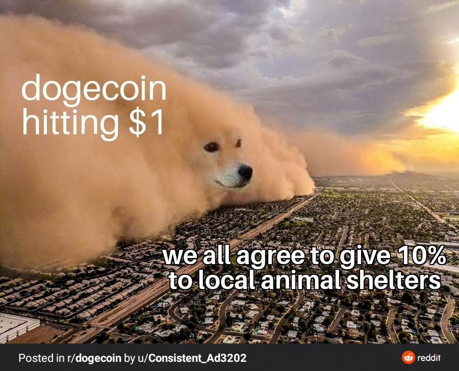 Sava Schultz Buying more doge just about every day