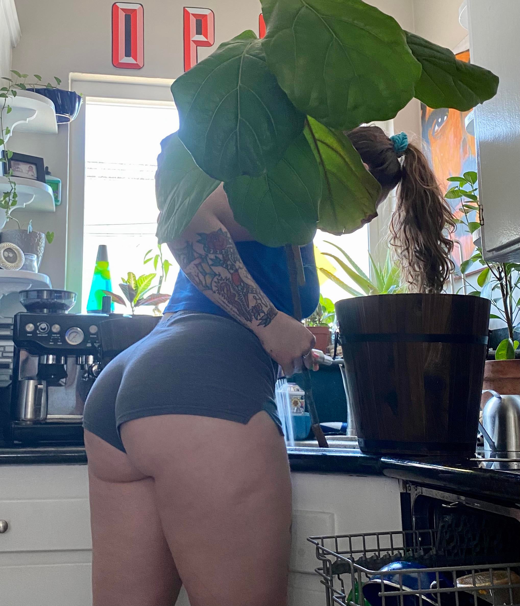 PAWG A lot going on in this picture but please