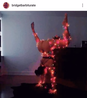 🌲🧑🏾‍🎄⛄