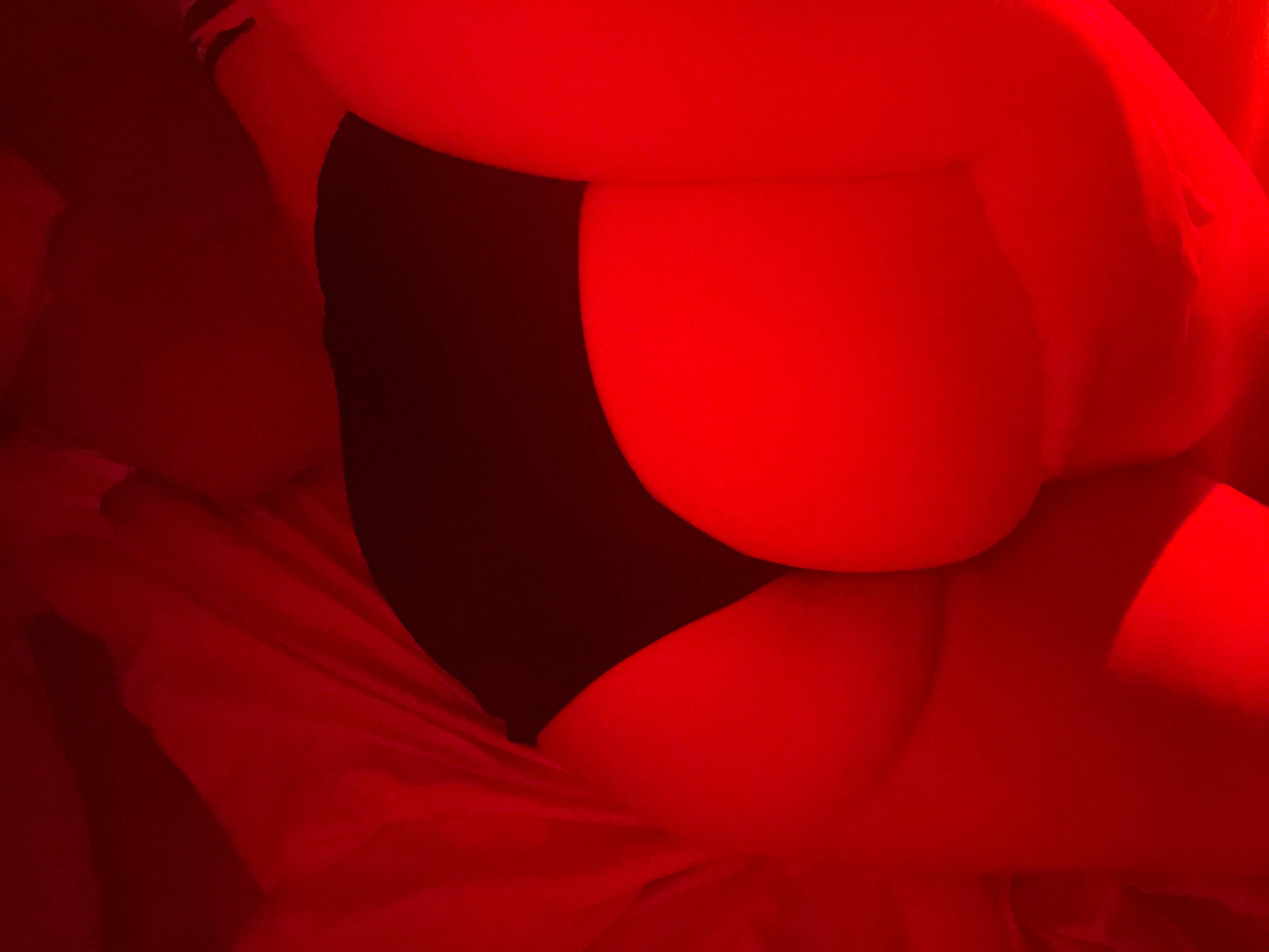 Could sit on your face… Thick White Girls