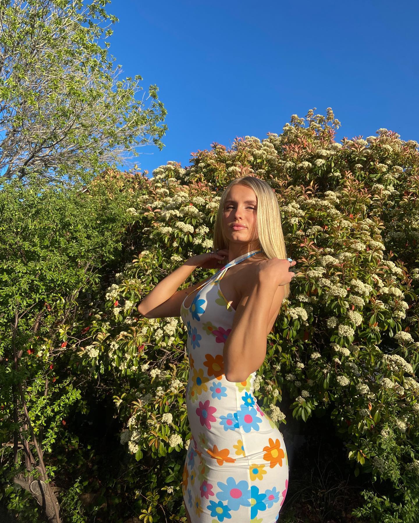 1672218299 276 Vega Thompson