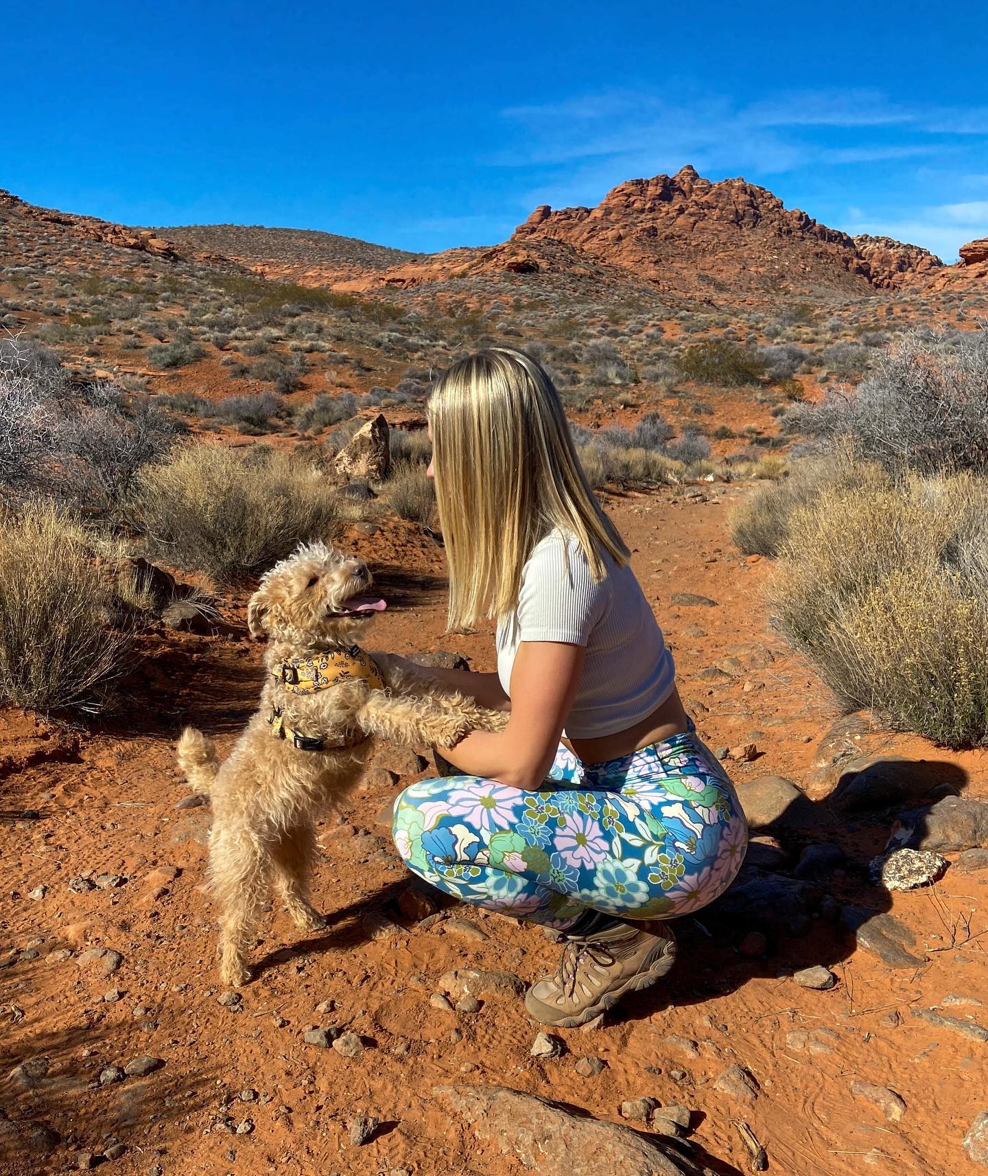 1672265880 145 My hiking buddy cuter than yours Vega Thompson