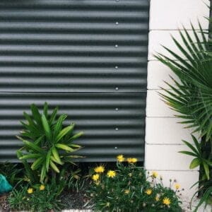 1672379338 414 Vega Thompson