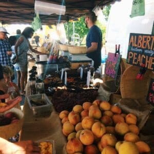 1672437960 735 Vega Thompson