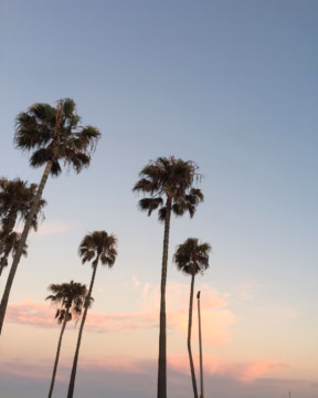 I havent been to the beach in so long help