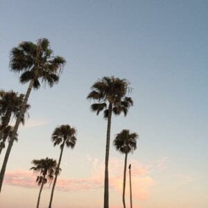 I havent been to the beach in so long help