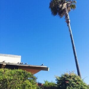 Its been cloudy so this picture makes me happy Vega