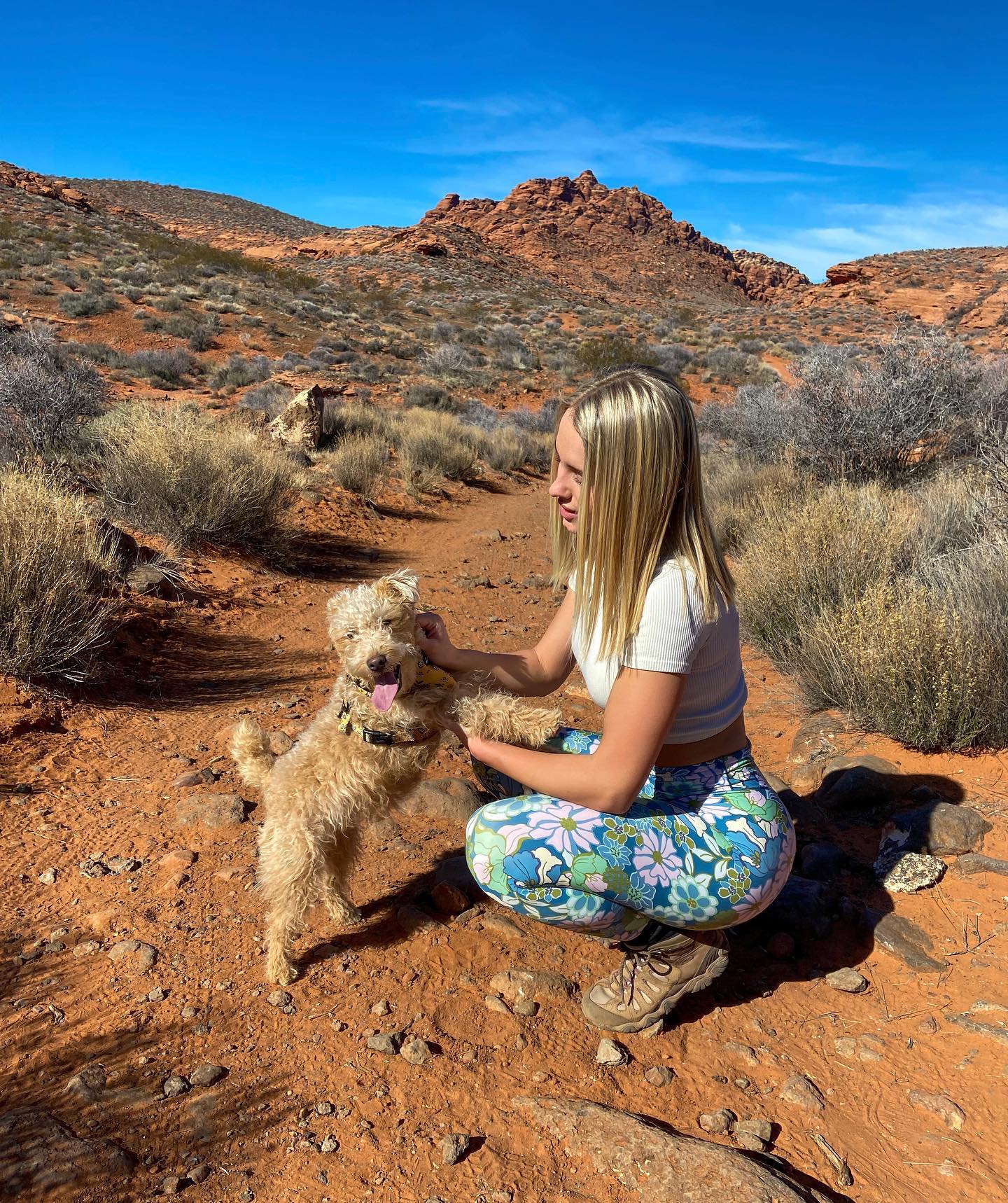 My hiking buddy cuter than yours Vega Thompson