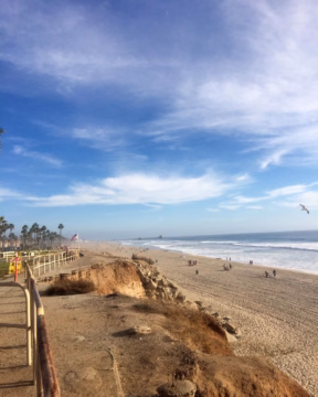 Running on the beach is the most therapeutic thing to