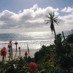 Todays view Vega Thompson