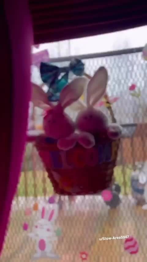 Permission to sit on your face Thick White