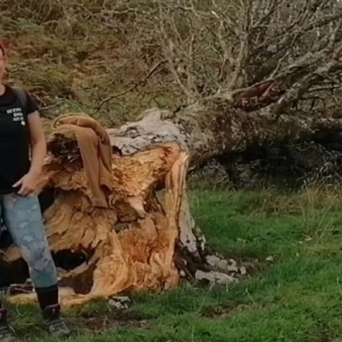 I didn't do that to the tree haha xx 5ft UK cougar 42