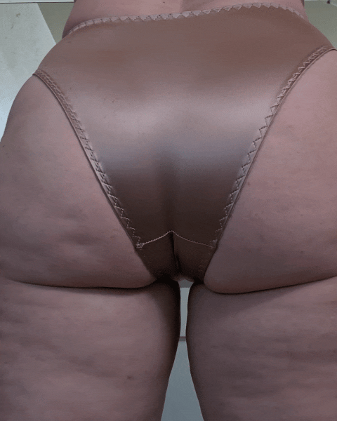 Thicker Thick asses look so good in satin panties F51