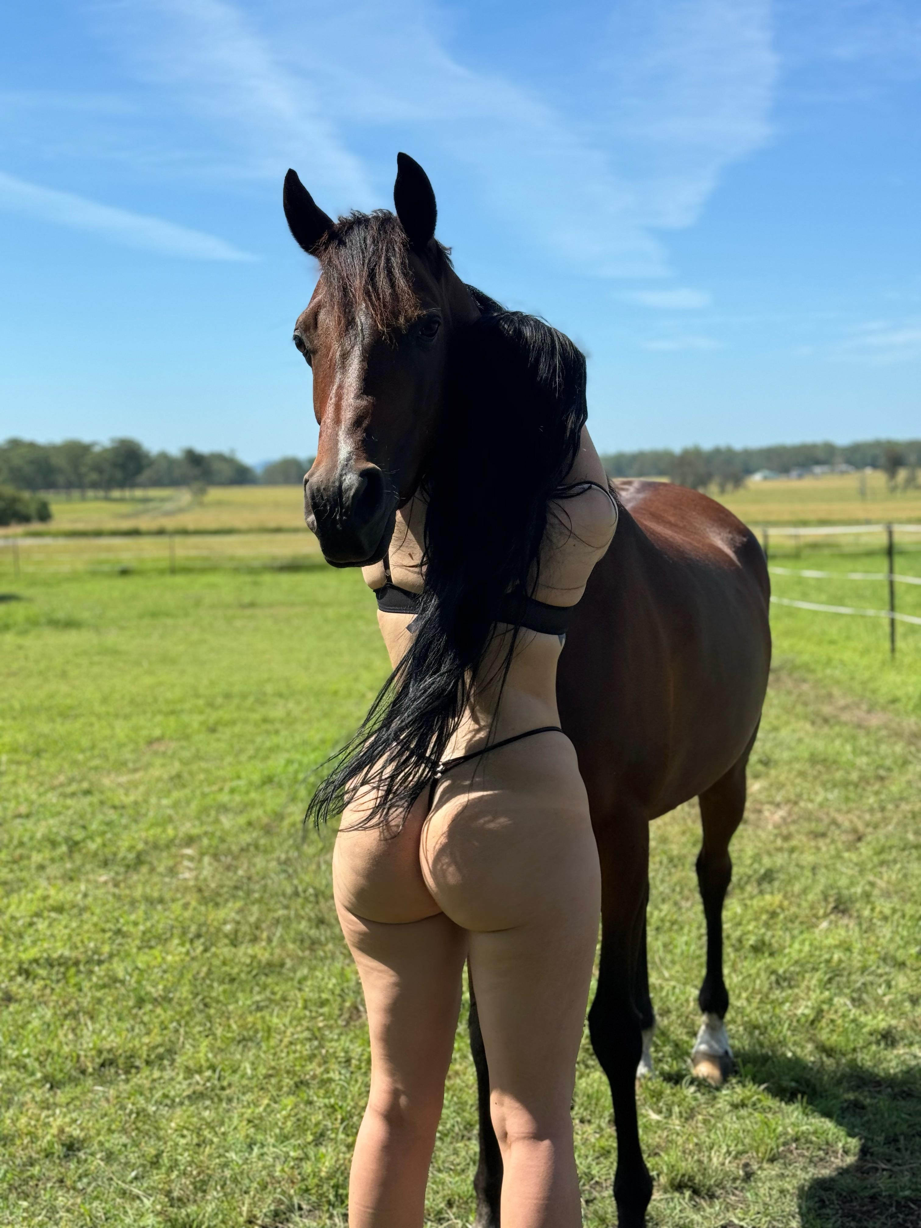 PAWG Save a horse … ride a cowboy