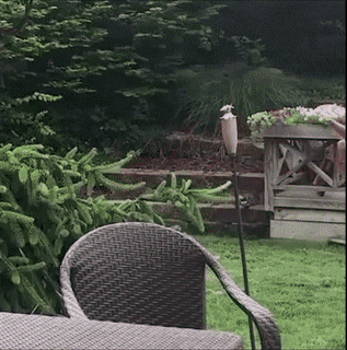 Thicker Olivia Jensen knows how to Fill a Chair