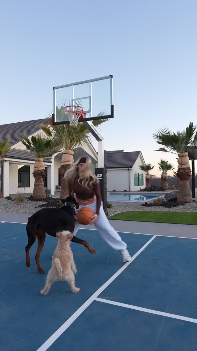 Vega Thompson Undefeated